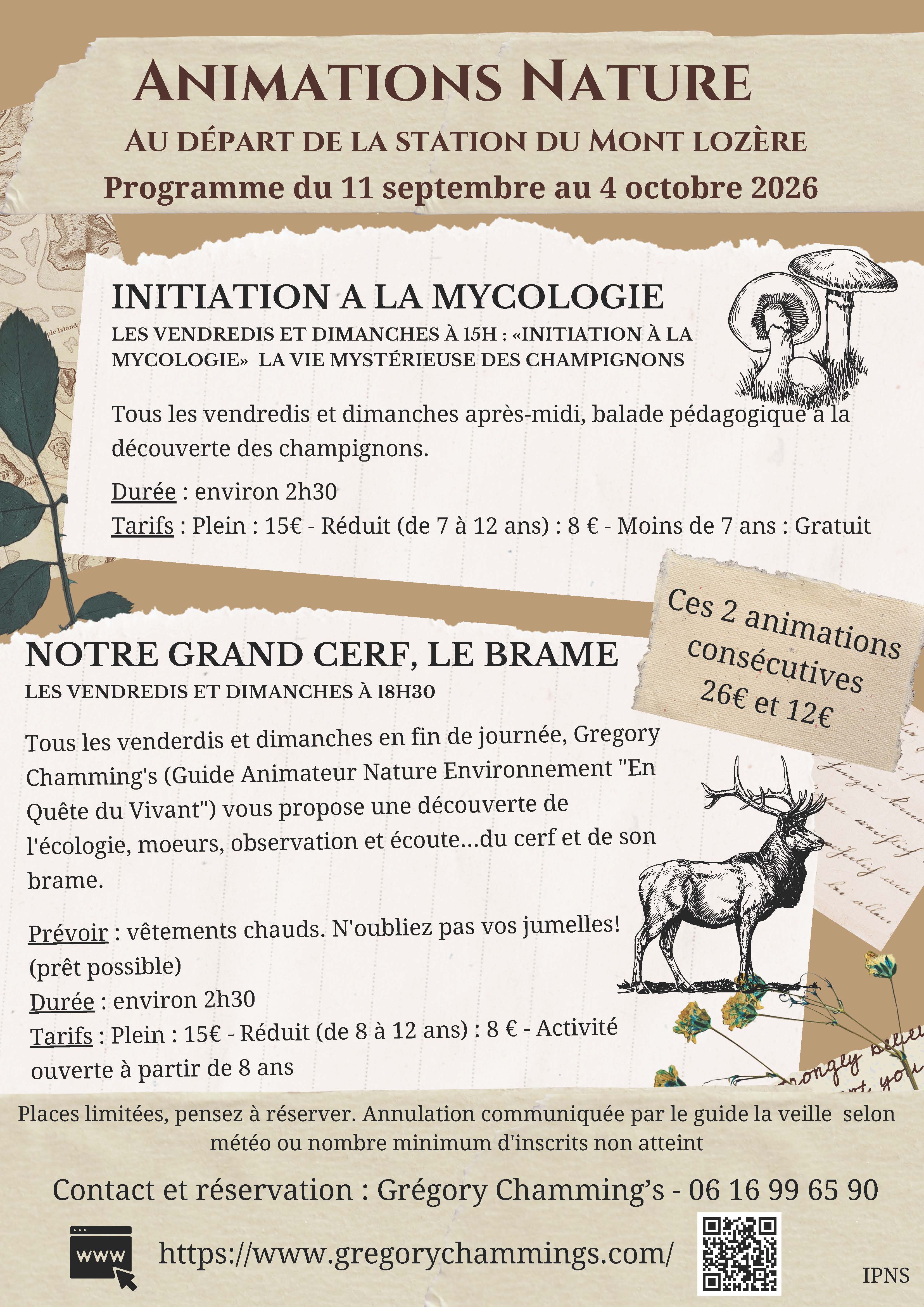 ANIMATION NATURE : BRAME DU CERF