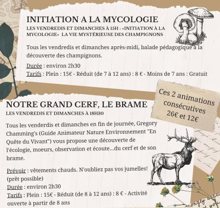 Brâme et mycologie du 11_09 au 4_10_2026