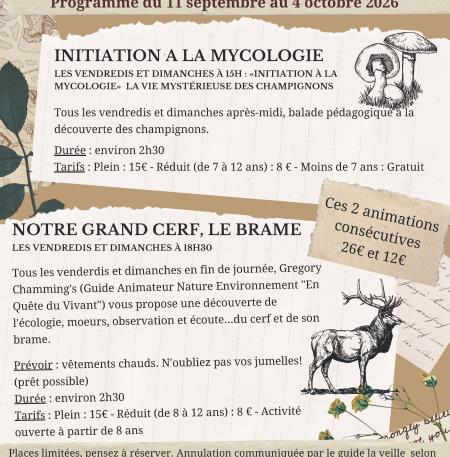 Brâme et mycologie du 11_09 au 4_10_2026