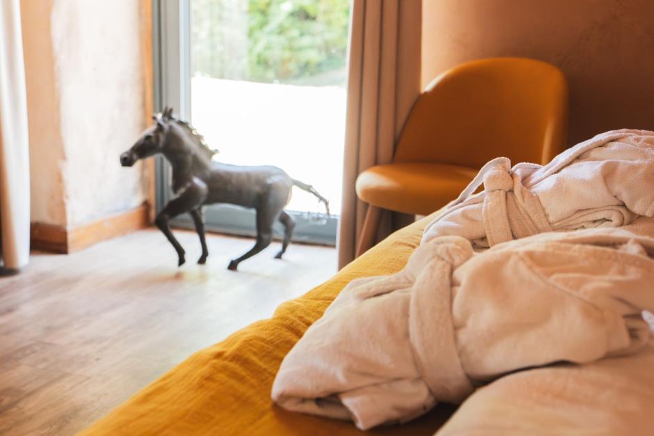 KIT PHOTOS INTERNET DLV - 55 