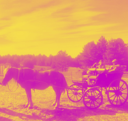 COLO THÉÂTRE ITINERANTE