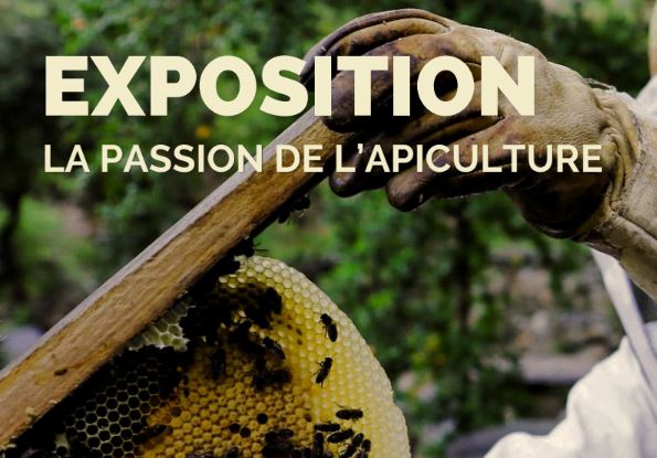 INAUGURATION EXPOSITION : NUMA BASTIDE 2026 – LA PASSION DE L'APICULTURE
