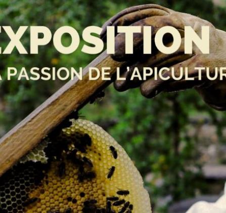 Numa Bastide 2026 – La passion de l'apiculture