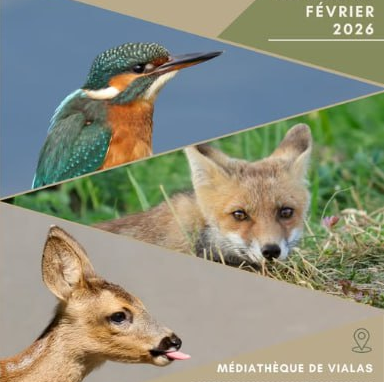 L'EXPOSITION VOISINS-VOISINES : À POIL, À PLUME, ILS HABITENT AVEC NOUS