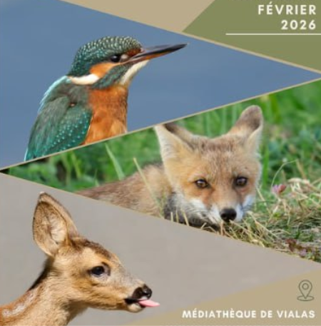 Capture d'écran 2026-02-02 100214