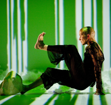 WI*- La Peau des Arbres