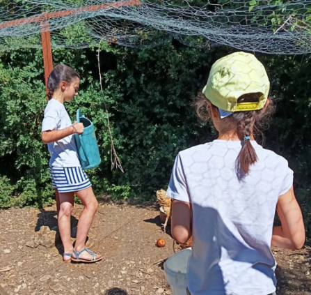 Travaux à la ferme Caussenarde