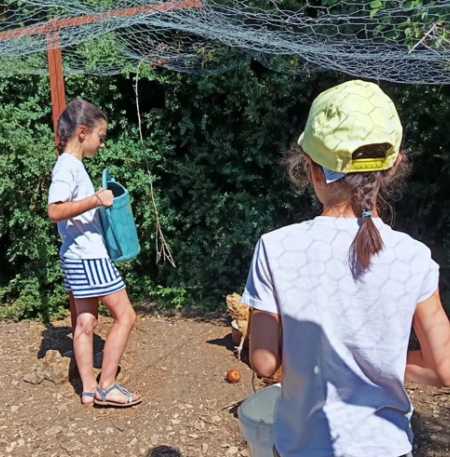 Travaux à la ferme Caussenarde