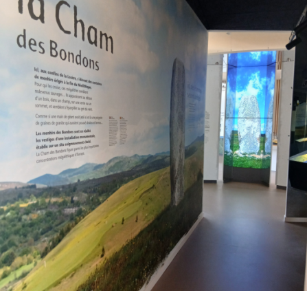 VISITE GUIDÉE DE LA MAISON DES MENHIRS