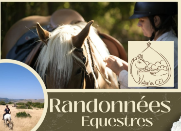 RANDONNÉES ÉQUESTRES