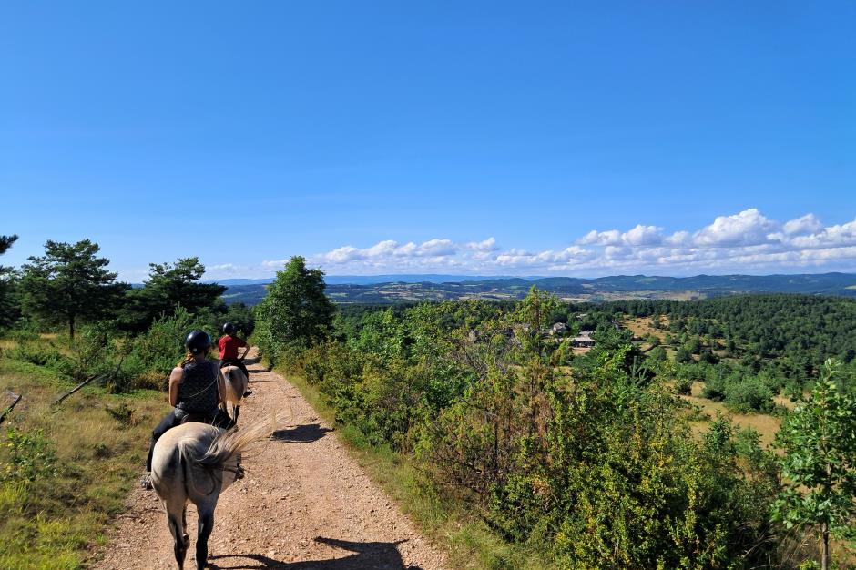 Chevaux au Vent - E.Scrive AATGCC 