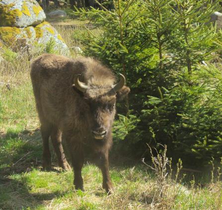 Clemence_Millet_-_Lozere_Tourisme-20220428.173604-24650