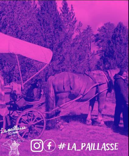 COLO ÉTÉ ITINÉRANTE