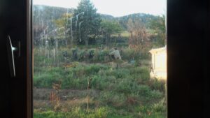 RENCONTRES TERRA NOSTRA : COMME D'ICI AU POMMIER