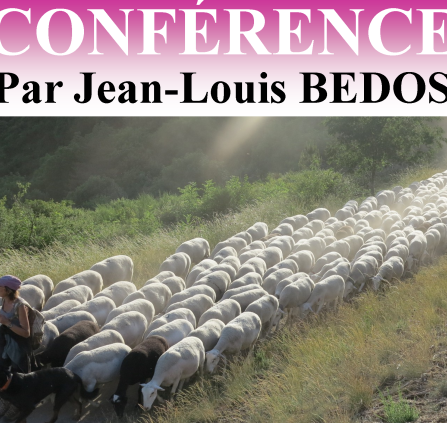 Conférence Les Amis du Patrimoine 20-08