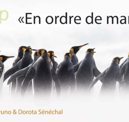 Crédit photo BrunoDorota Sénéchal
