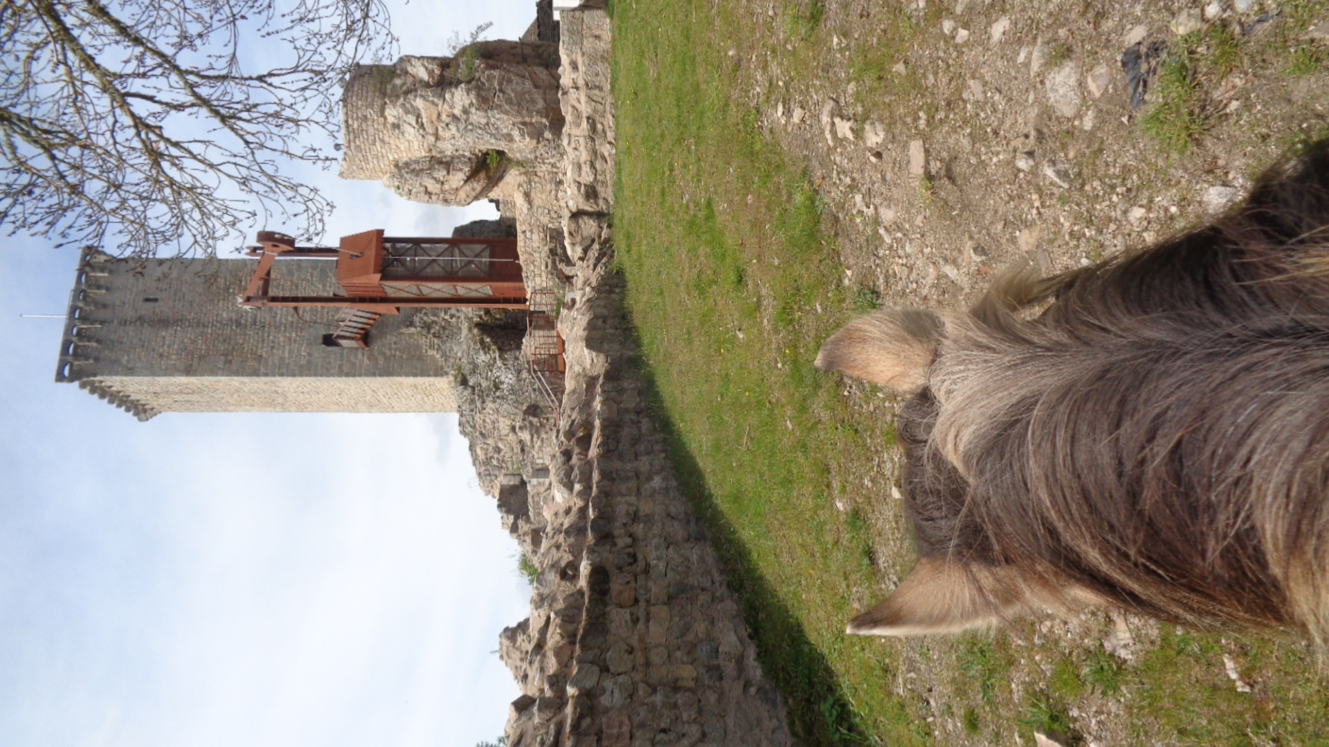 LA CAVALE DU MALZIEU - SONIA BRIMEUR, Le Malzieu-Ville - photo 13