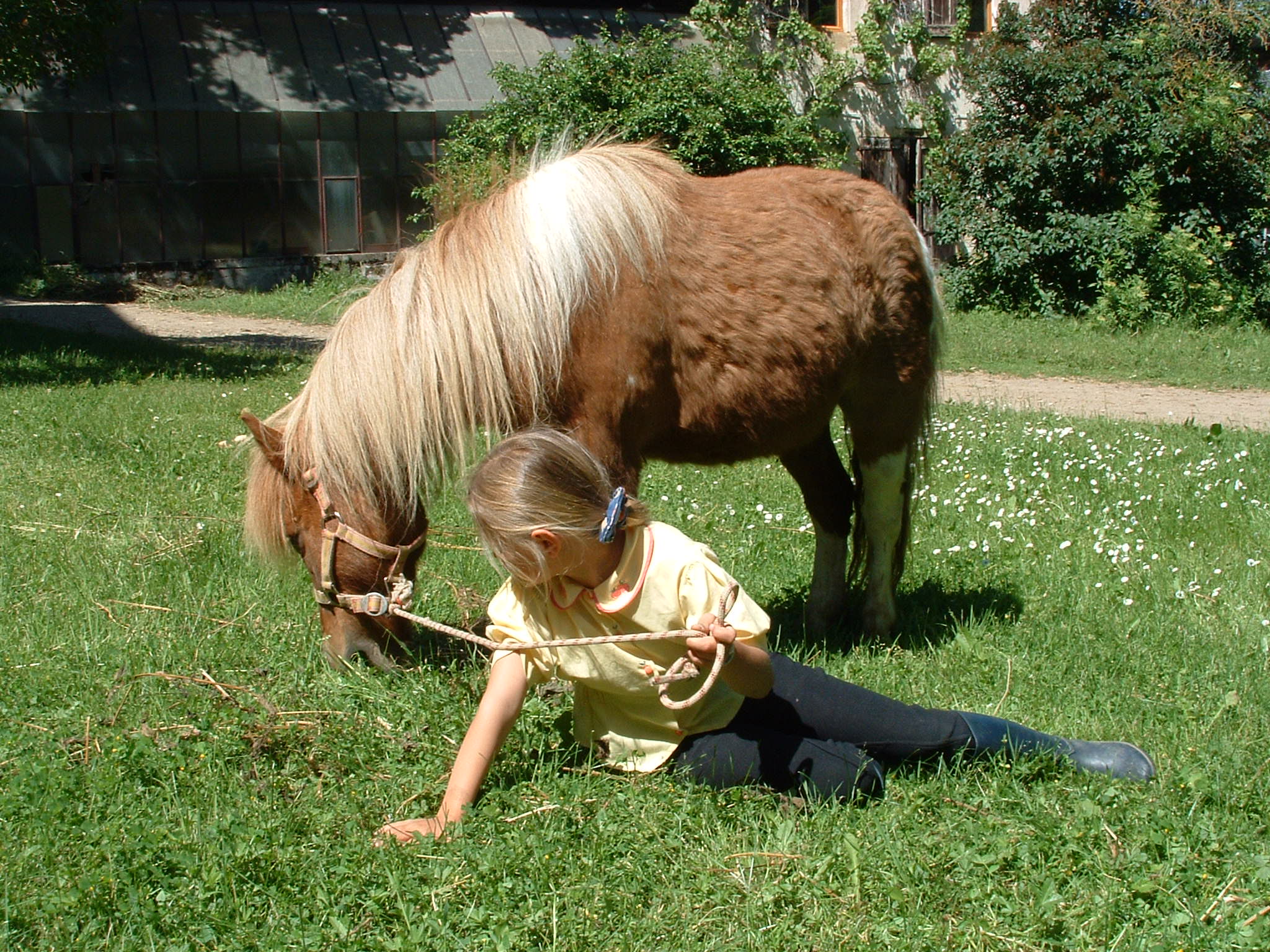 PONEY-CLUB DE LA CROUZETTE - photo 4