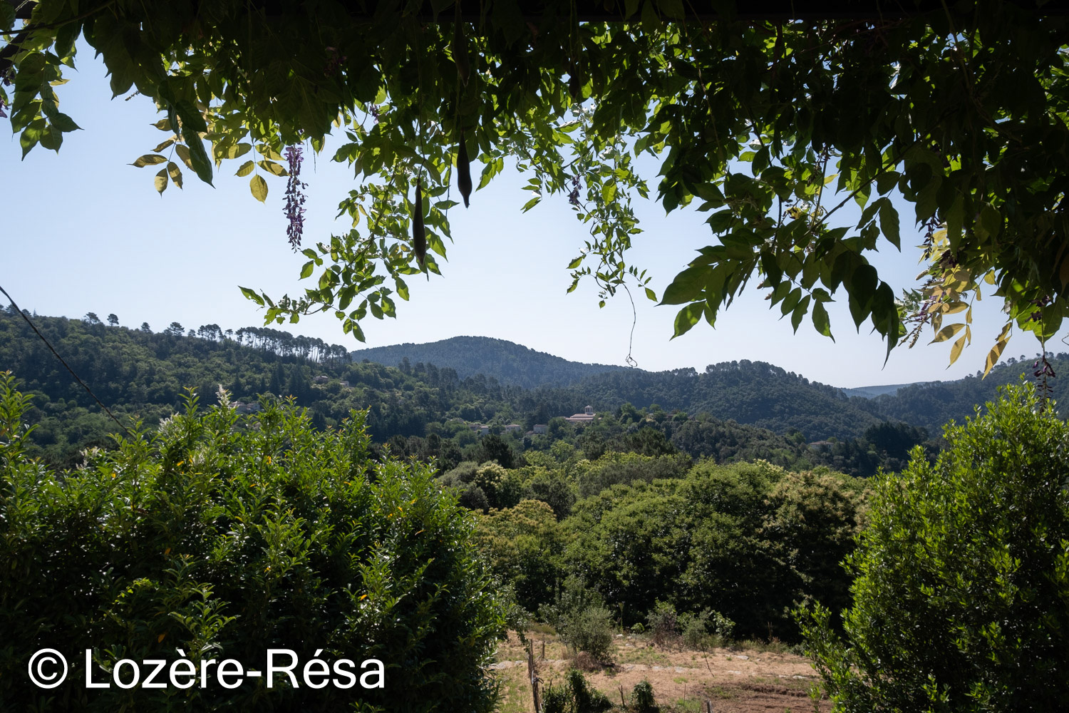 GITE DU CHAMP NEUF - LA MAISON DE FLAVIE, Saint-Julien-des-Points - photo 27