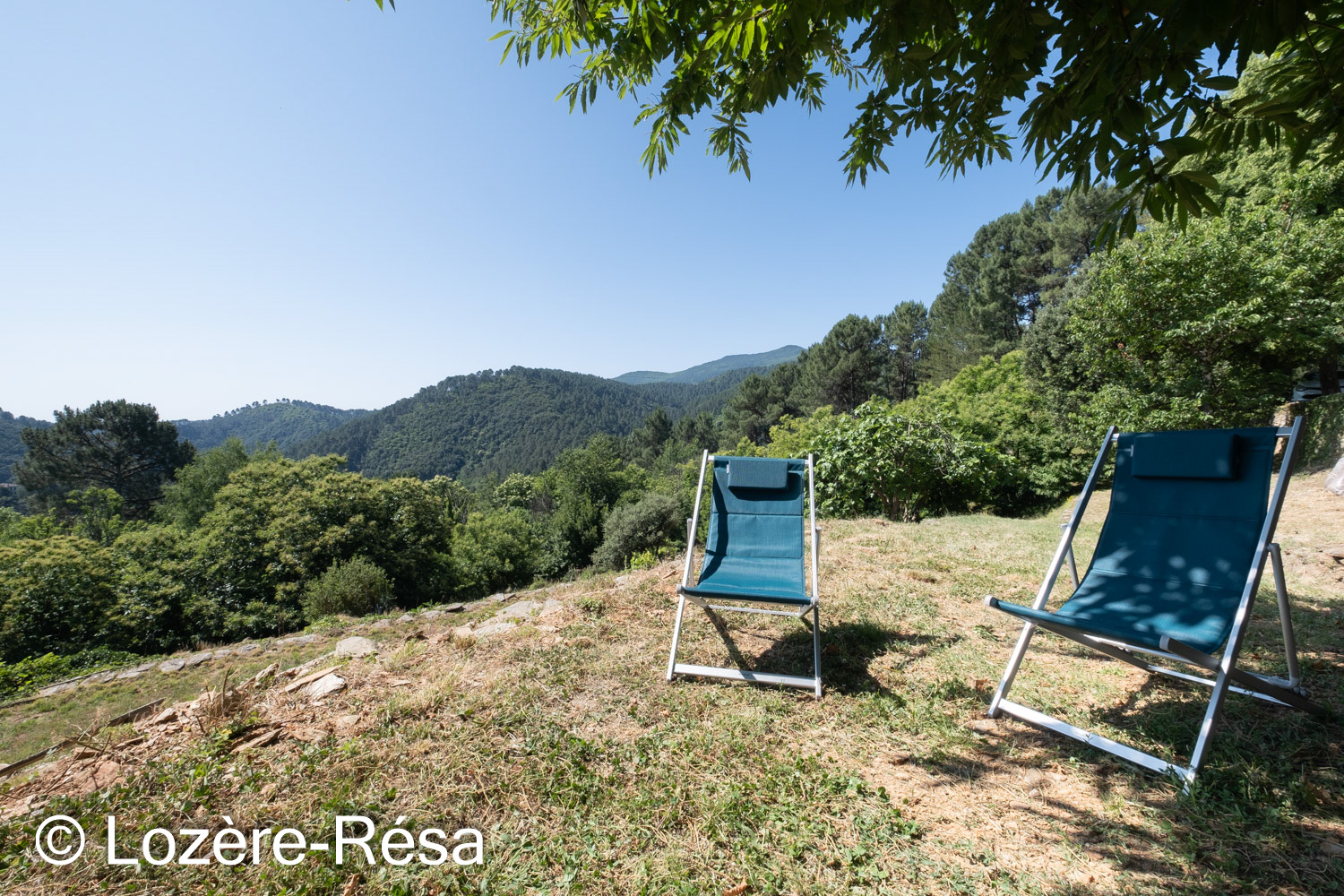 GITE DU CHAMP NEUF - LA MAISON DE FLAVIE, Saint-Julien-des-Points - photo 31