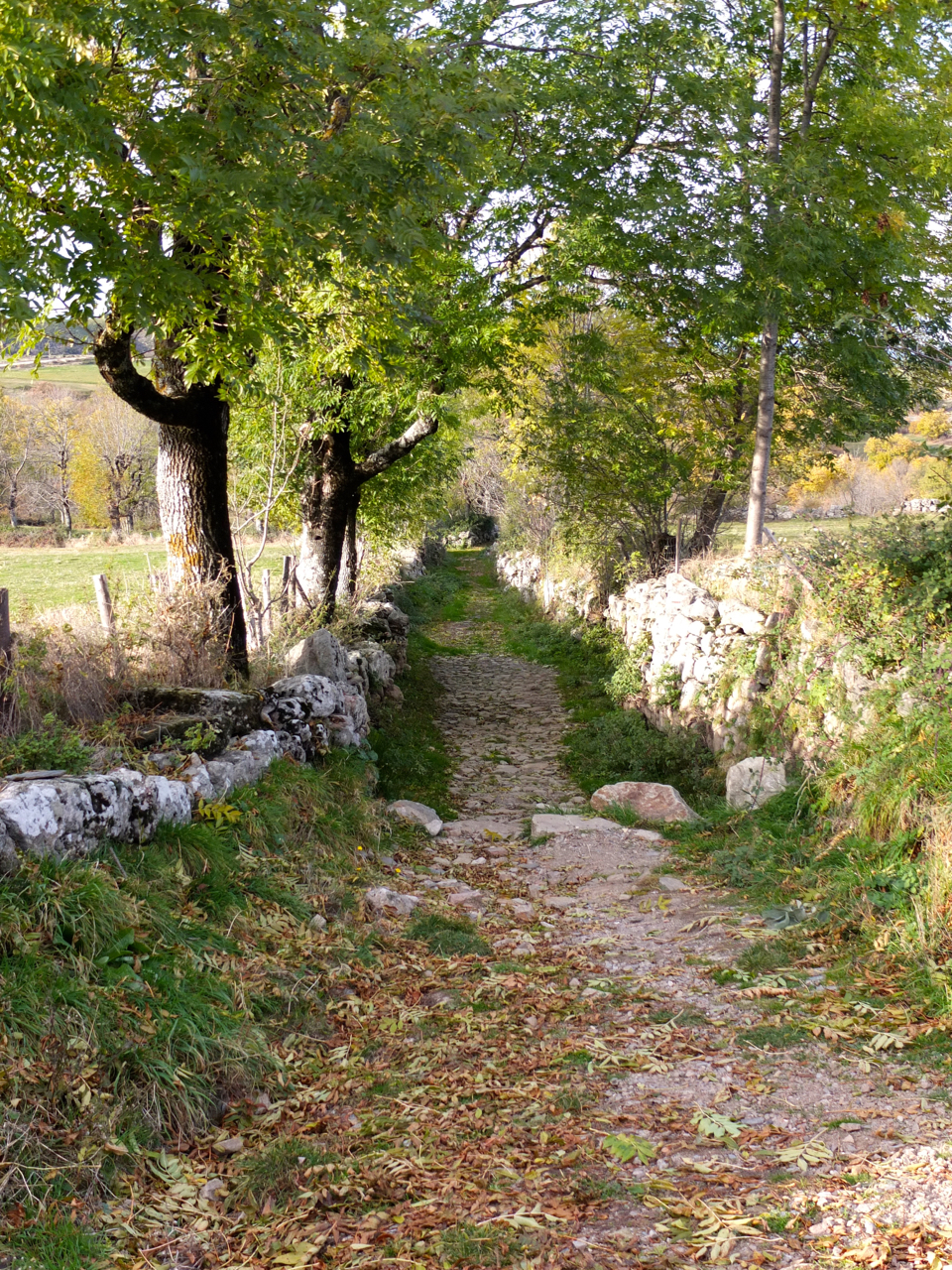 LA PETITE MAISON DU MOULIN, Villefort