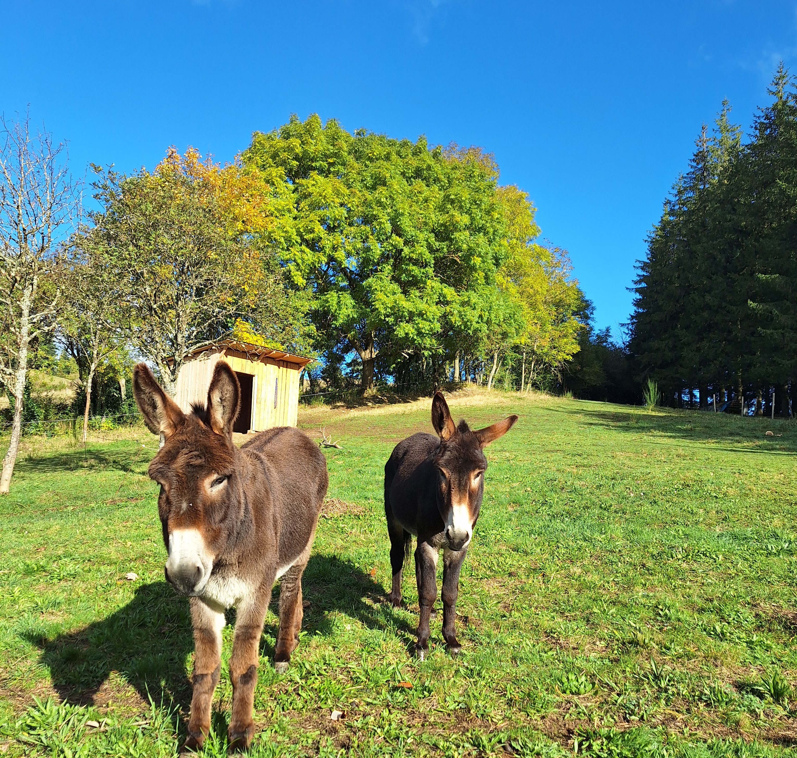 LA VILLA DES SOURCES, Langogne - photo 2