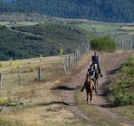 Endurance Barre barthas-9-7-2022-433-scaled