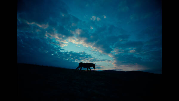 FILM DOCUMENTAIRE — visuel événement