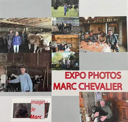 Exposition - L'oeil du vétérinaire