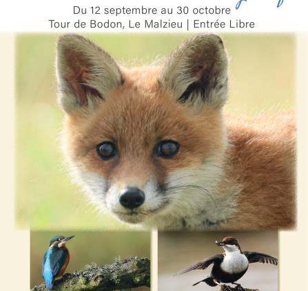 Exposition Salgues