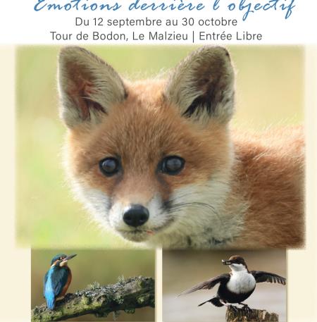 Exposition Salgues