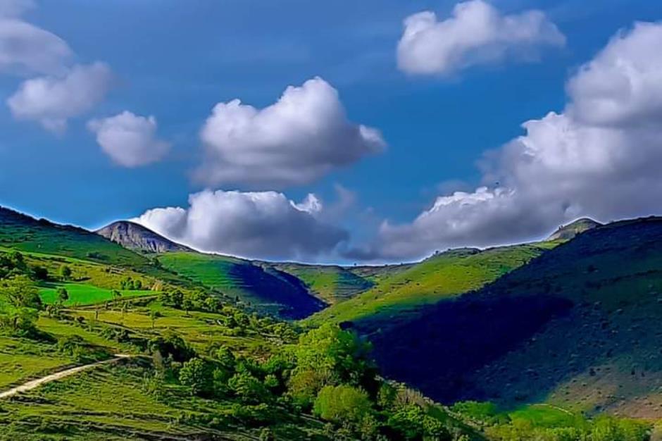 FB_IMG_1636823610537 