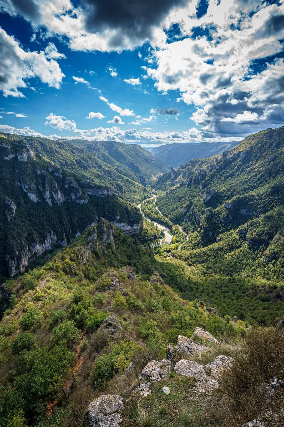 LA CABANE AU FOND DU JARDIN, Massegros Causses Gorges - photo 16