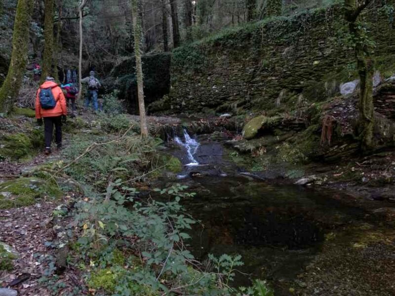 FESTIVAL DE LA RANDONNÉE : LA VALLÉE FRANÇAISE, SES CHEMINS CHARGÉS D'HISTOIRE