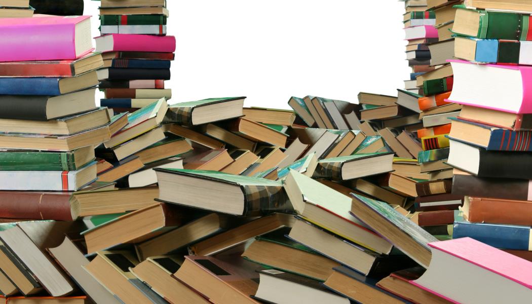 grenier aux livres 