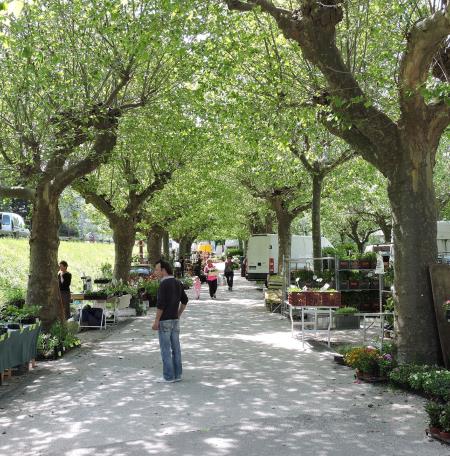 Foire aux plants de Florac
