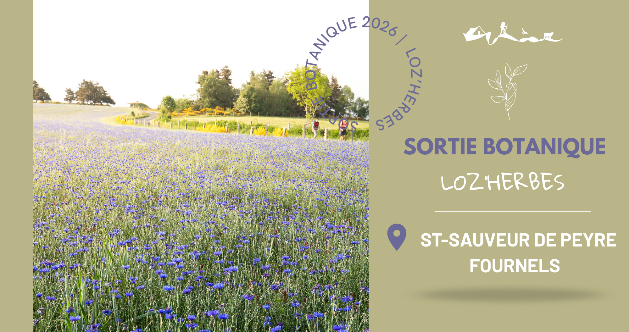 SORTIE BOTANIQUE ST SAUVEUR - photo 2