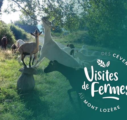 Ferme de Folie