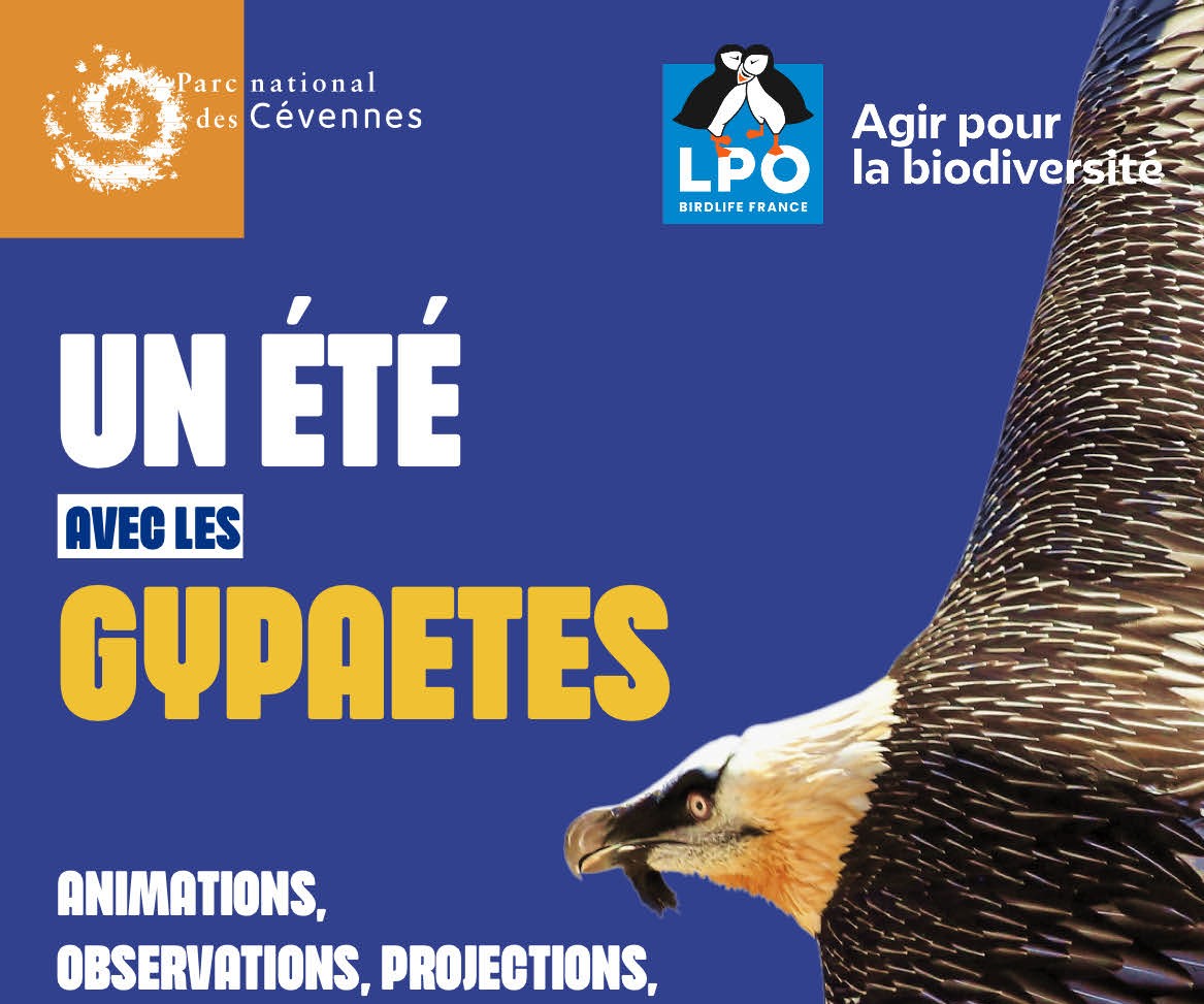 UNE JOURNÉE AVEC LES GYPAÈTES "VAUTOURS ET CIE"