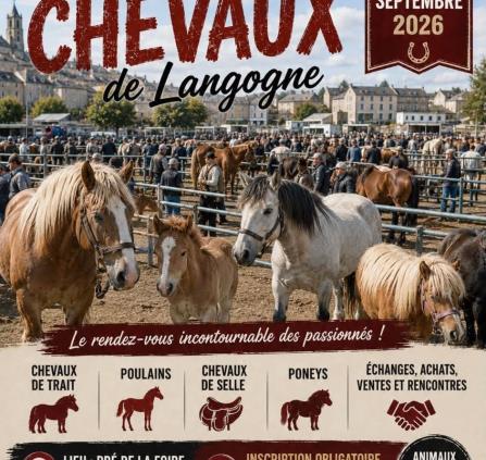 Foire aux chevaux Langogne -12-09