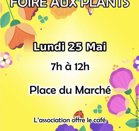 Foire aux plants