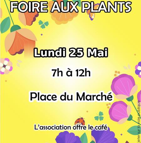 Foire aux plants