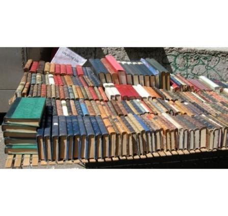 Foire aux Livres ACA Langogne