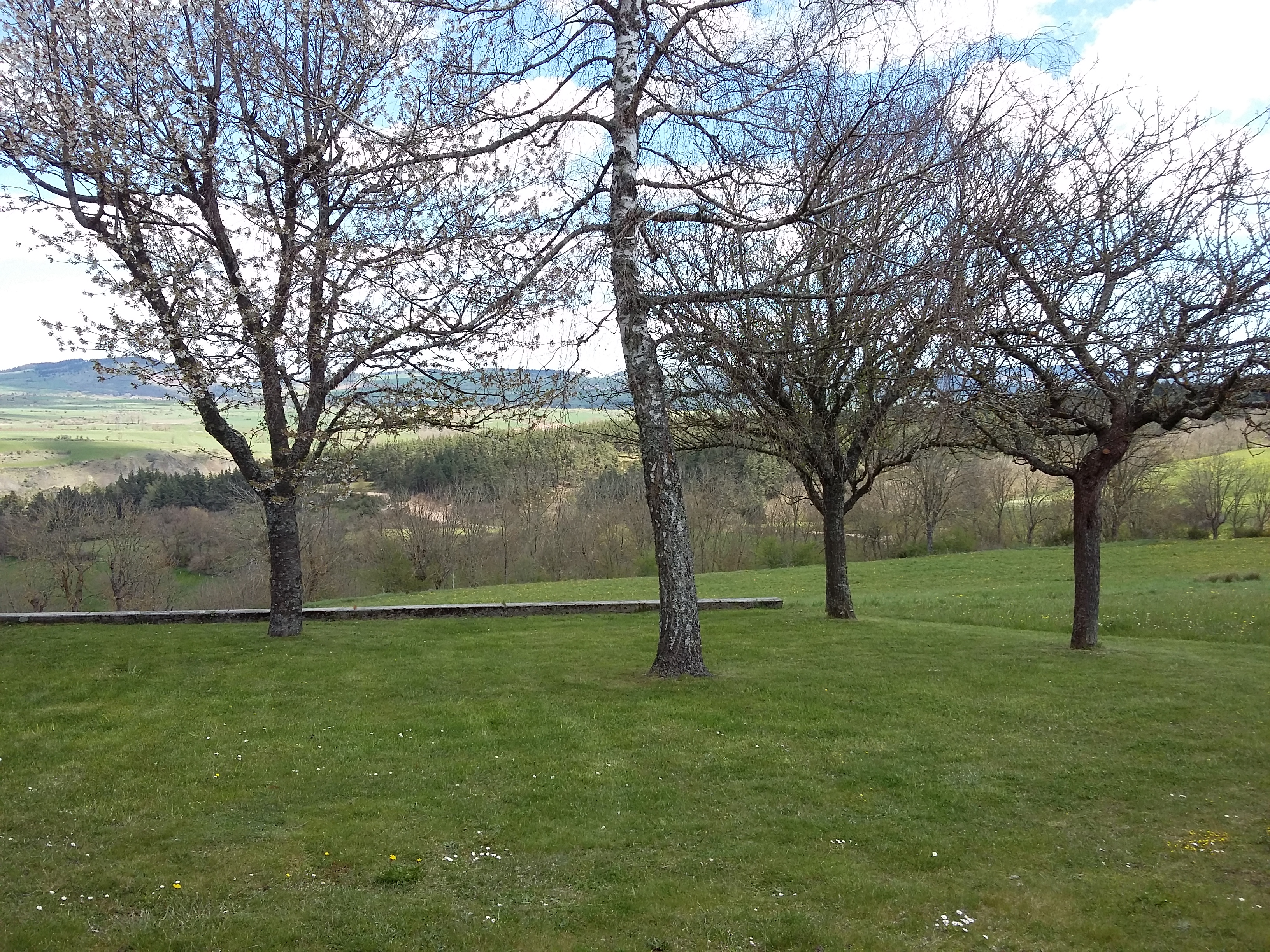 LES PINS, Naussac-Fontanes - photo 7