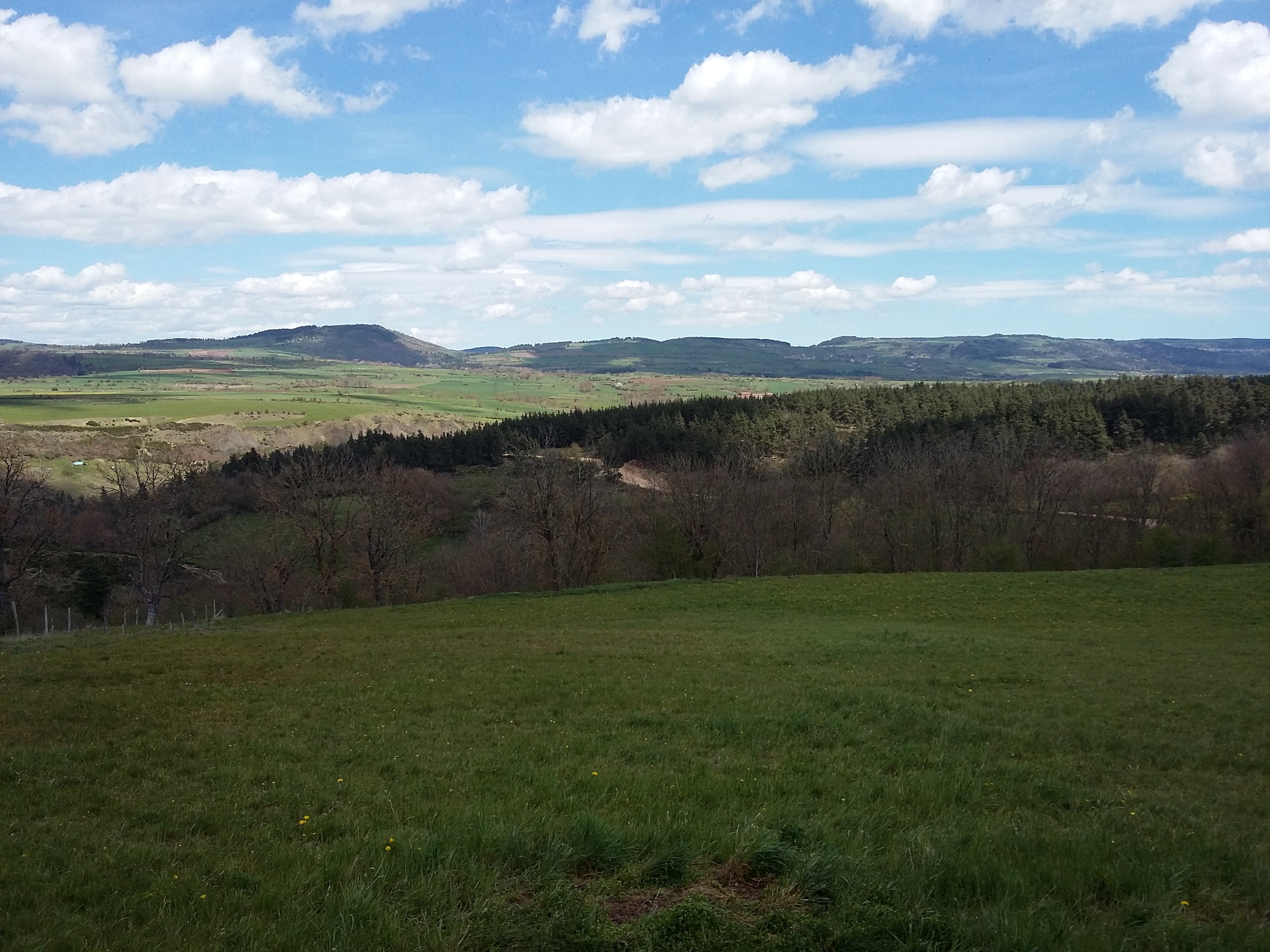 LES PINS, Naussac-Fontanes - photo 11