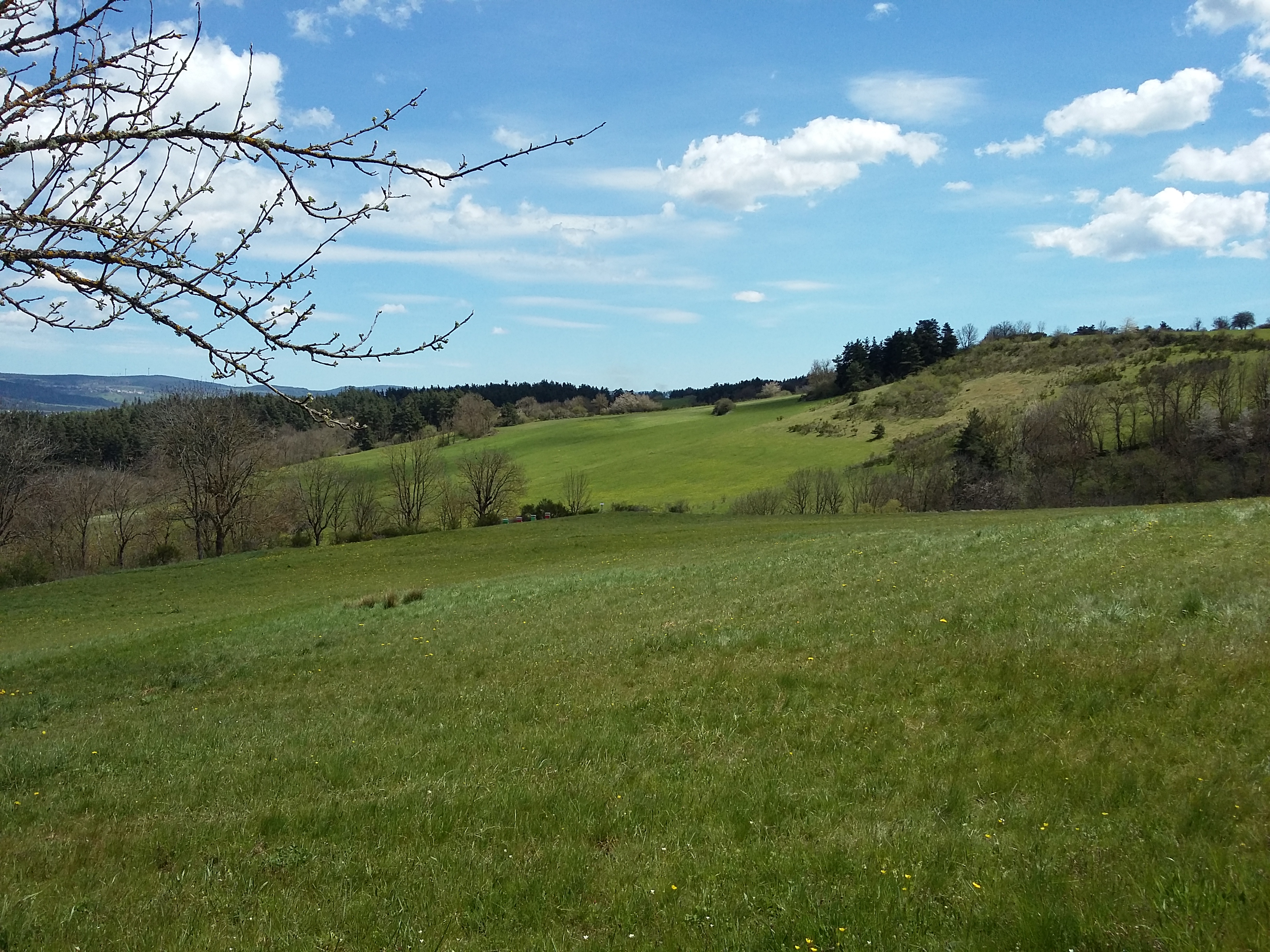 LES PINS, Naussac-Fontanes - photo 13