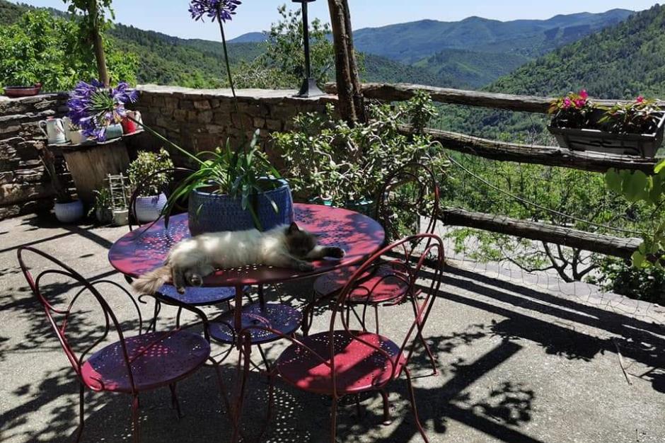 Gite cevennes terrasse vue panoramique 