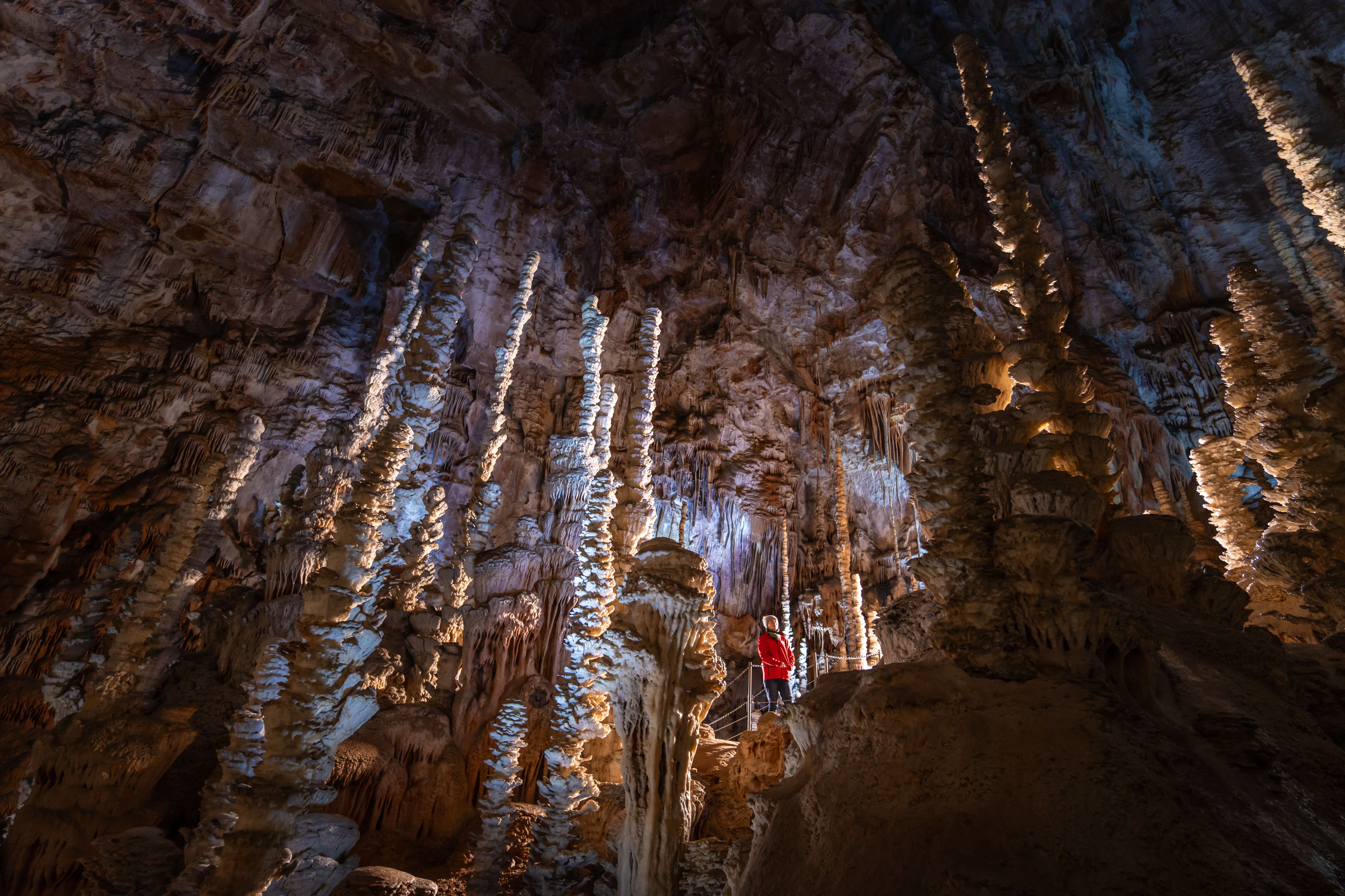 AVEN ARMAND, Hures-la-Parade - photo 6