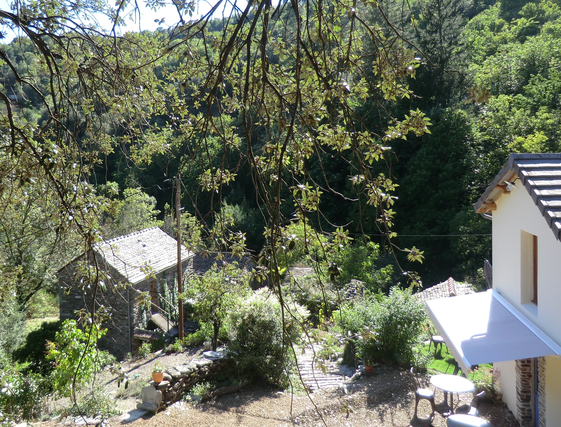 CHAMBRE D'HOTES TRANSGARDON, Saint-Privat-de-Vallongue - photo 9