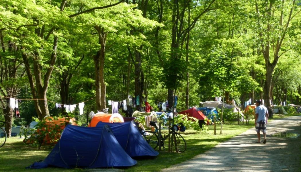 Camping ombragé